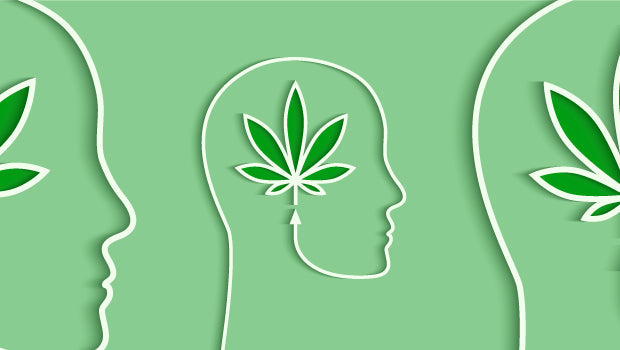 Is Weed Addictive? What Science and Real Users Say
