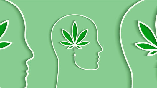 Is Weed Addictive? What Science and Real Users Say