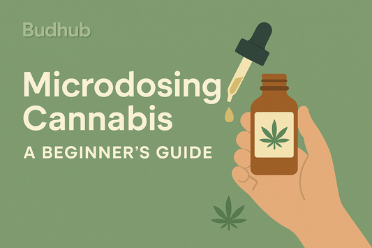 microdosing cannabis infographic