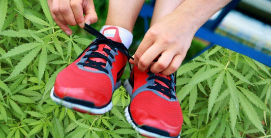 cannabis and physical health